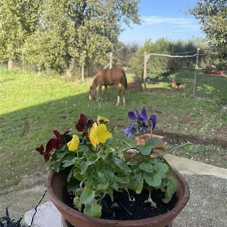 In Campagna! דירה